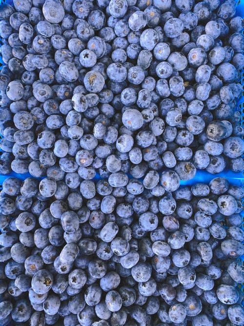 Free An abundance of fresh blueberries artistically arranged showcasing their natural beauty. Stock Photo