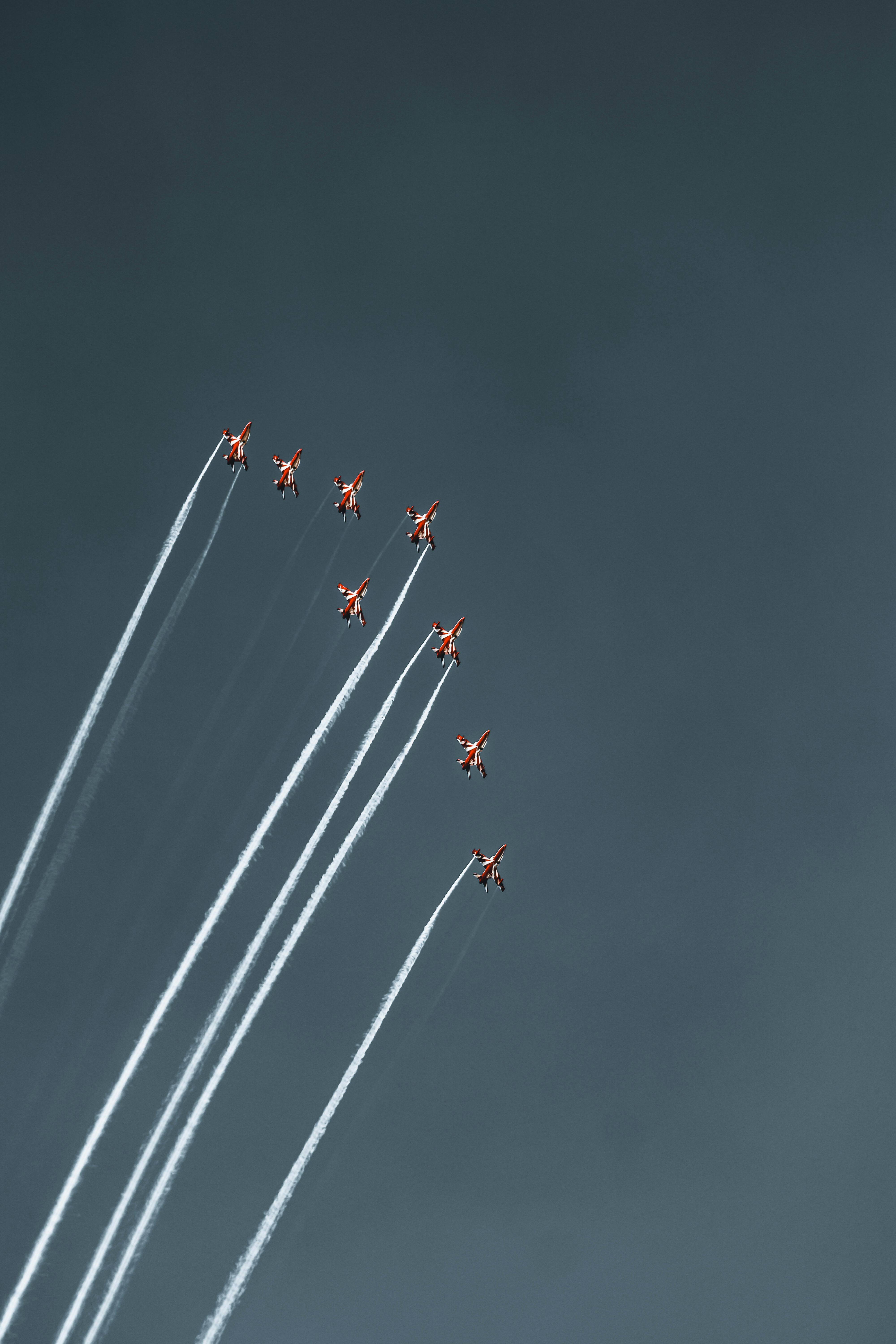 bezplatná Základová fotografie zdarma na téma bez oblak, bojovník, denní Základová fotografie