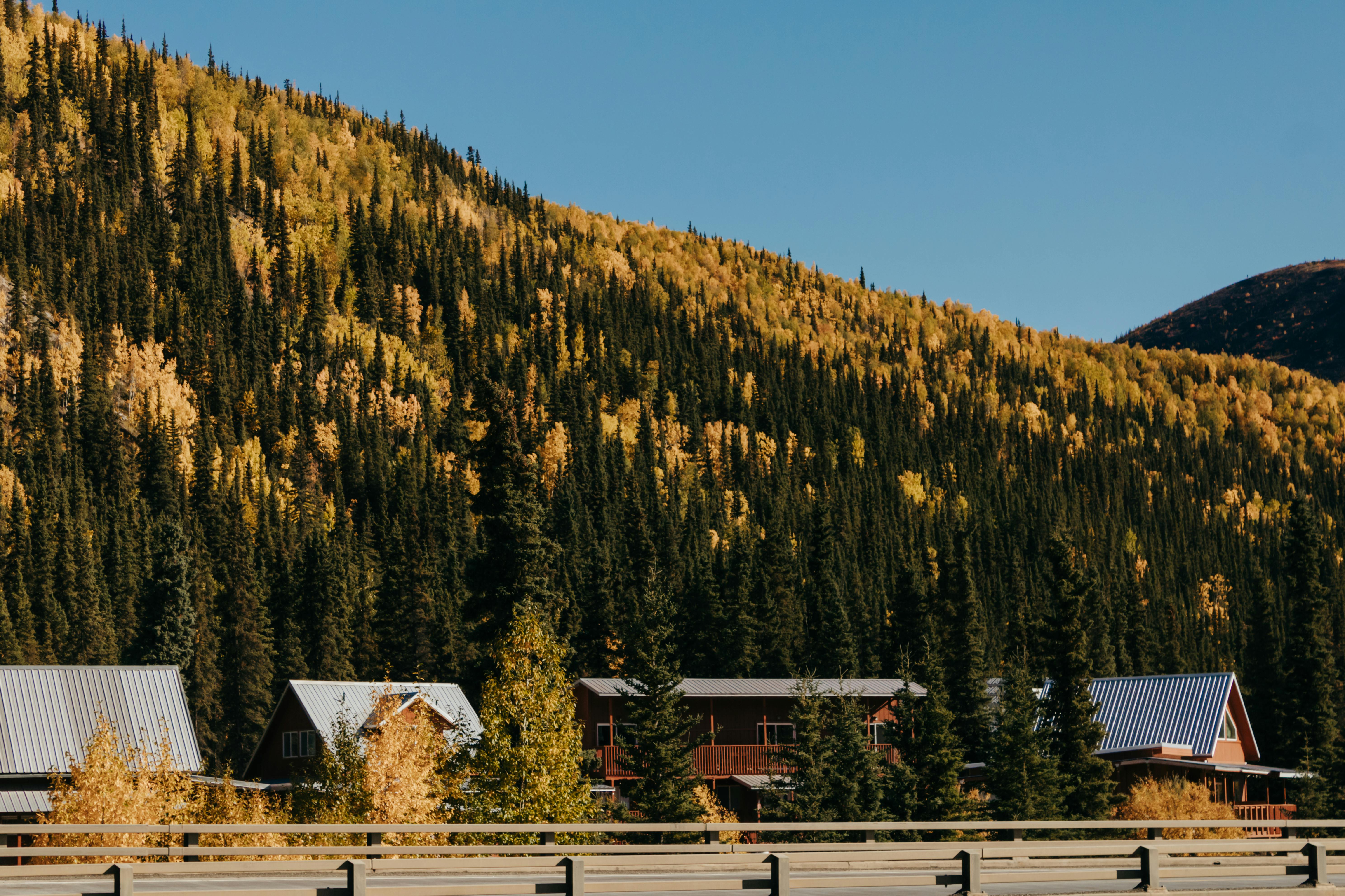 A scenic view of autumn trees and rustic houses in Alaska, USA.