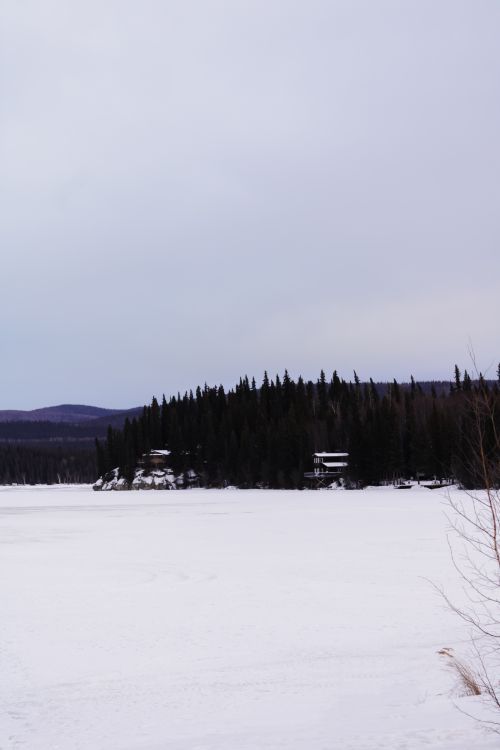 Free stock photo of alaska, arctic landscape, arctic nature Stock Photo