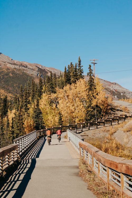 Free Cyclists enjoying outdoor biking on a scenic trail surrounded by autumn foliage in Alaska, USA. Stock Photo