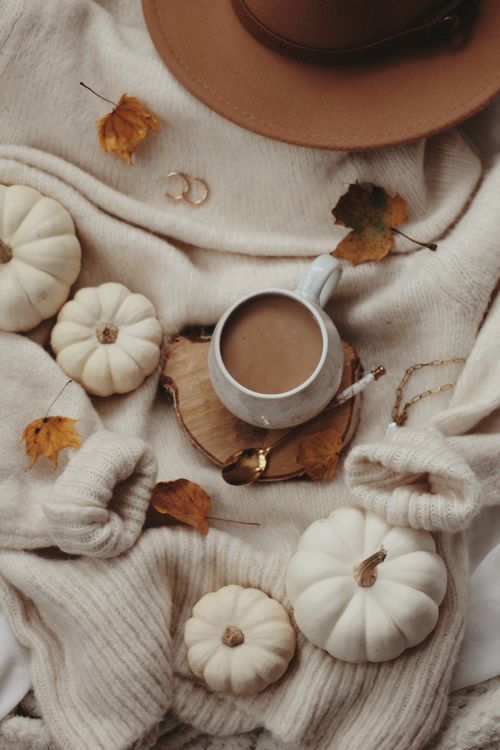 Free A warm autumn-themed still life with coffee and white pumpkins on a cozy blanket. Stock Photo