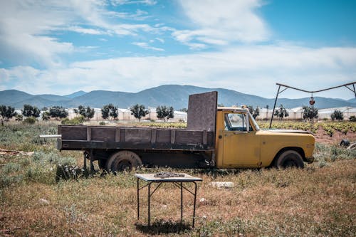 Yellow Truck On Field