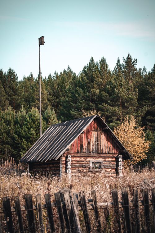 Free A charming wooden cabin in a tranquil forest, perfect for nature lovers seeking solitude. Stock Photo