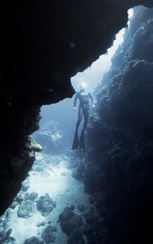 Free Unrecognizable person swimming near coral reefs Stock Photo