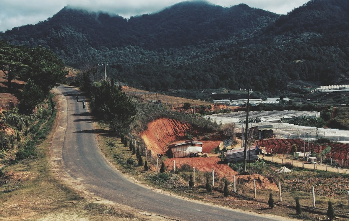 Foto d'estoc gratuïta de camp, camps de cultiu, carretera