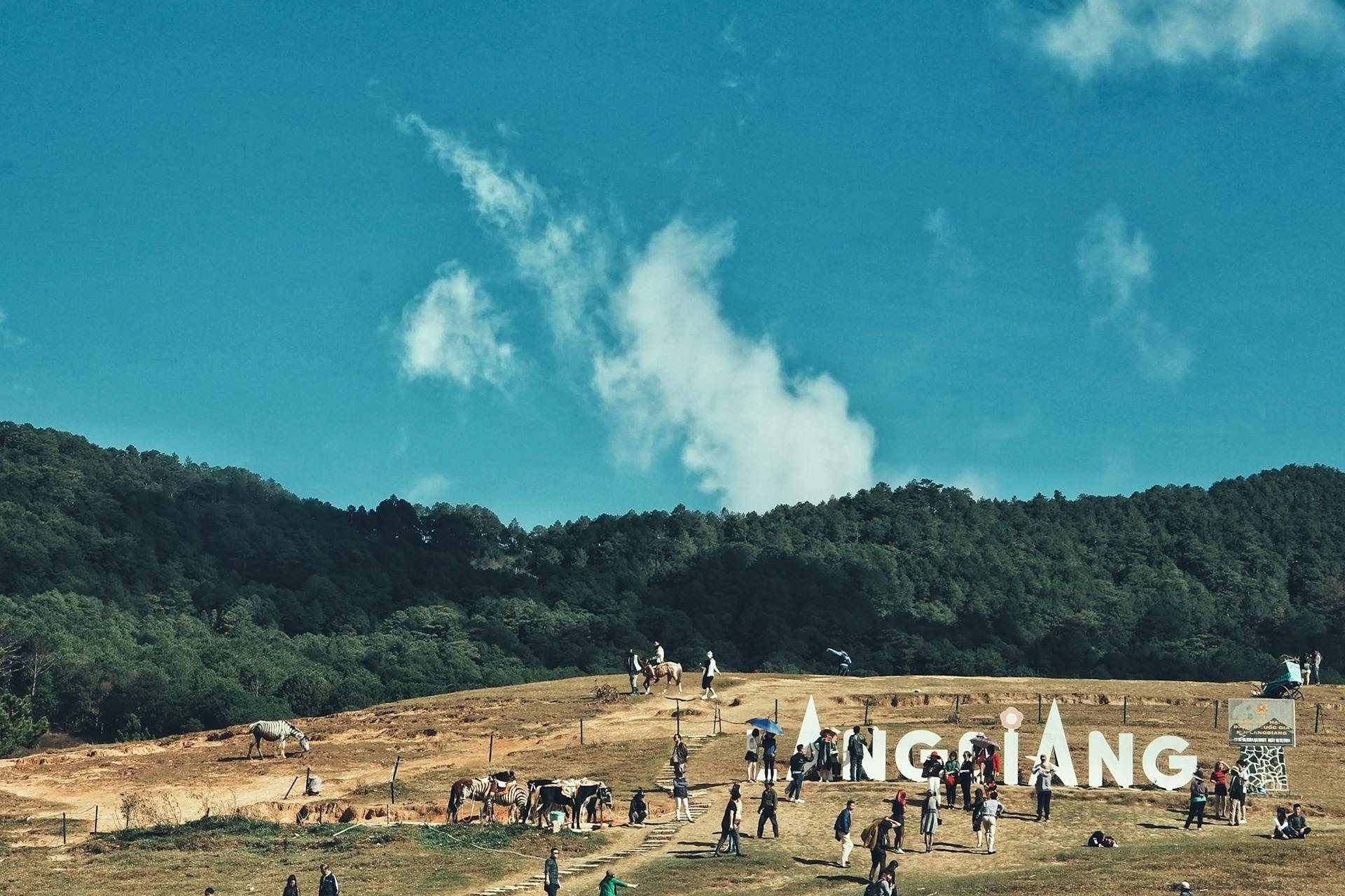 Crowded hilltop scene with people, horses, and forest under a clear blue sky.