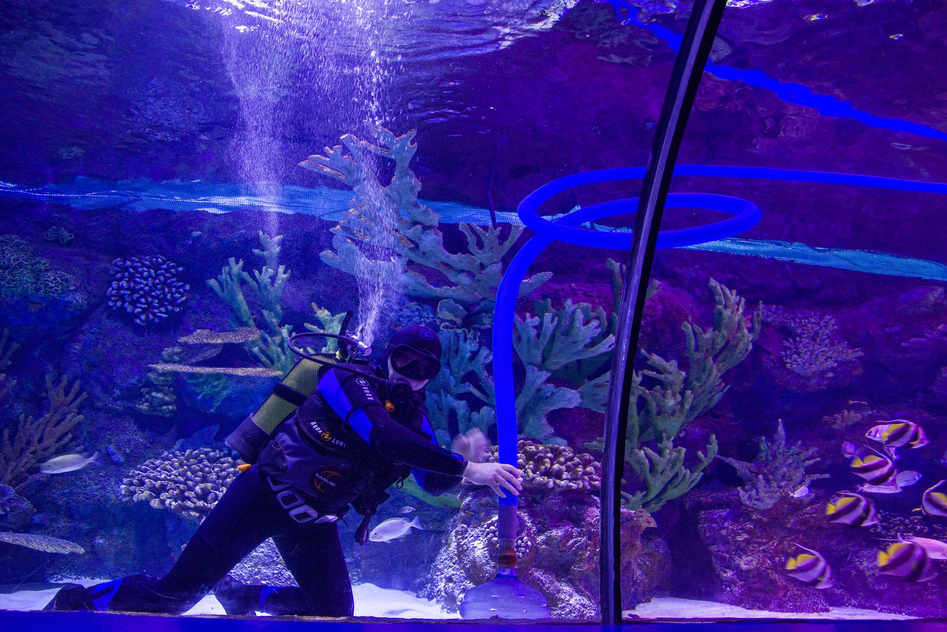 Best Gravel Vacuums for Easy Tank Maintenance