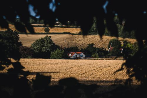 Free A picturesque view of a rural house framed by fields and trees. Stock Photo