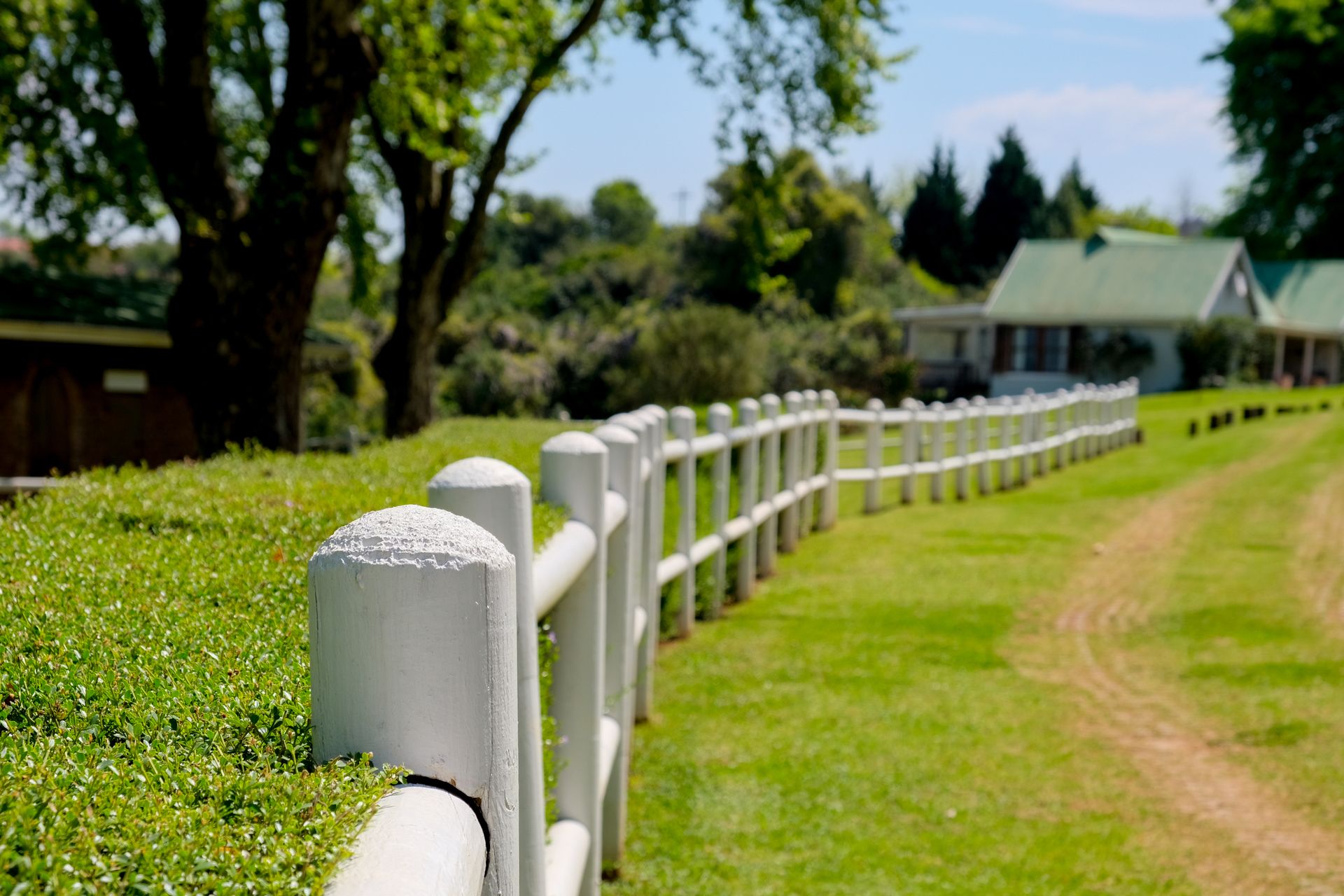 Wooden fence running through open countryside