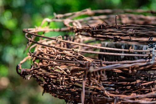 Close-Up Shot of Rusty Barbed Wires