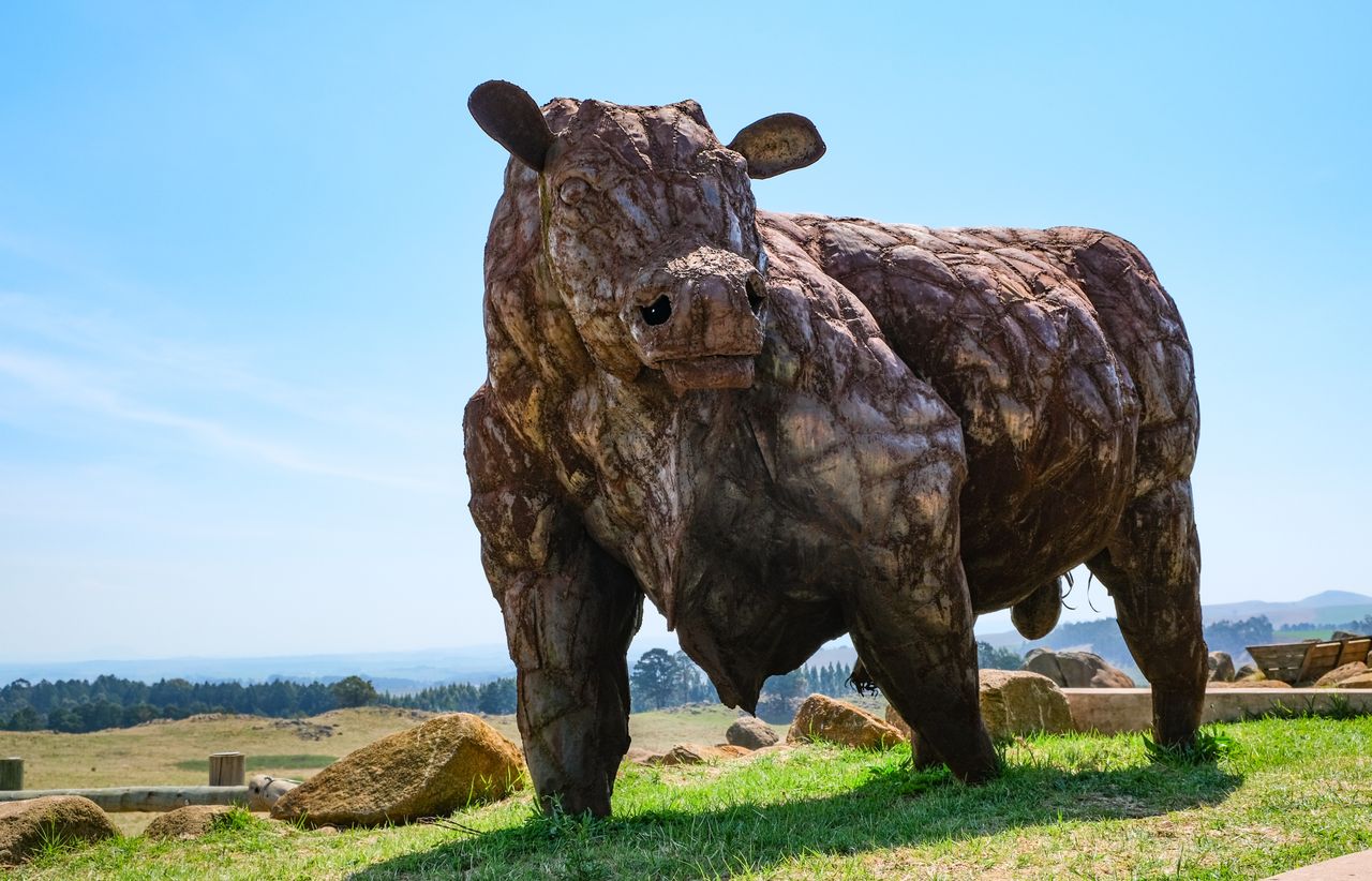 a striking bull sculpture stands proudly in a vast rural field under a