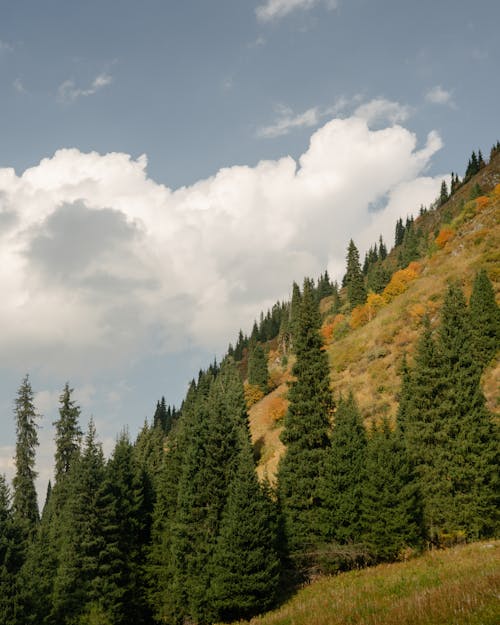 Foto stok gratis awan, gunung, hijau