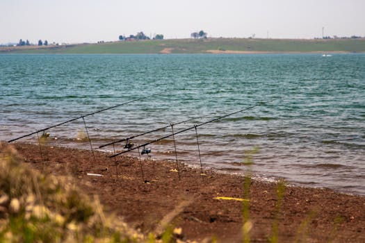 Tranquil lake scene with fishing rods on a peaceful shoreline, ideal for a serene fishing day.