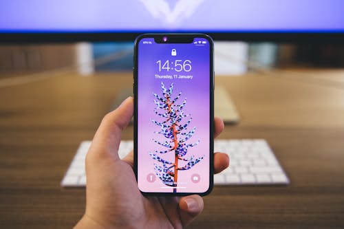 Free Person Holds Space Gray Iphone X Stock Photo