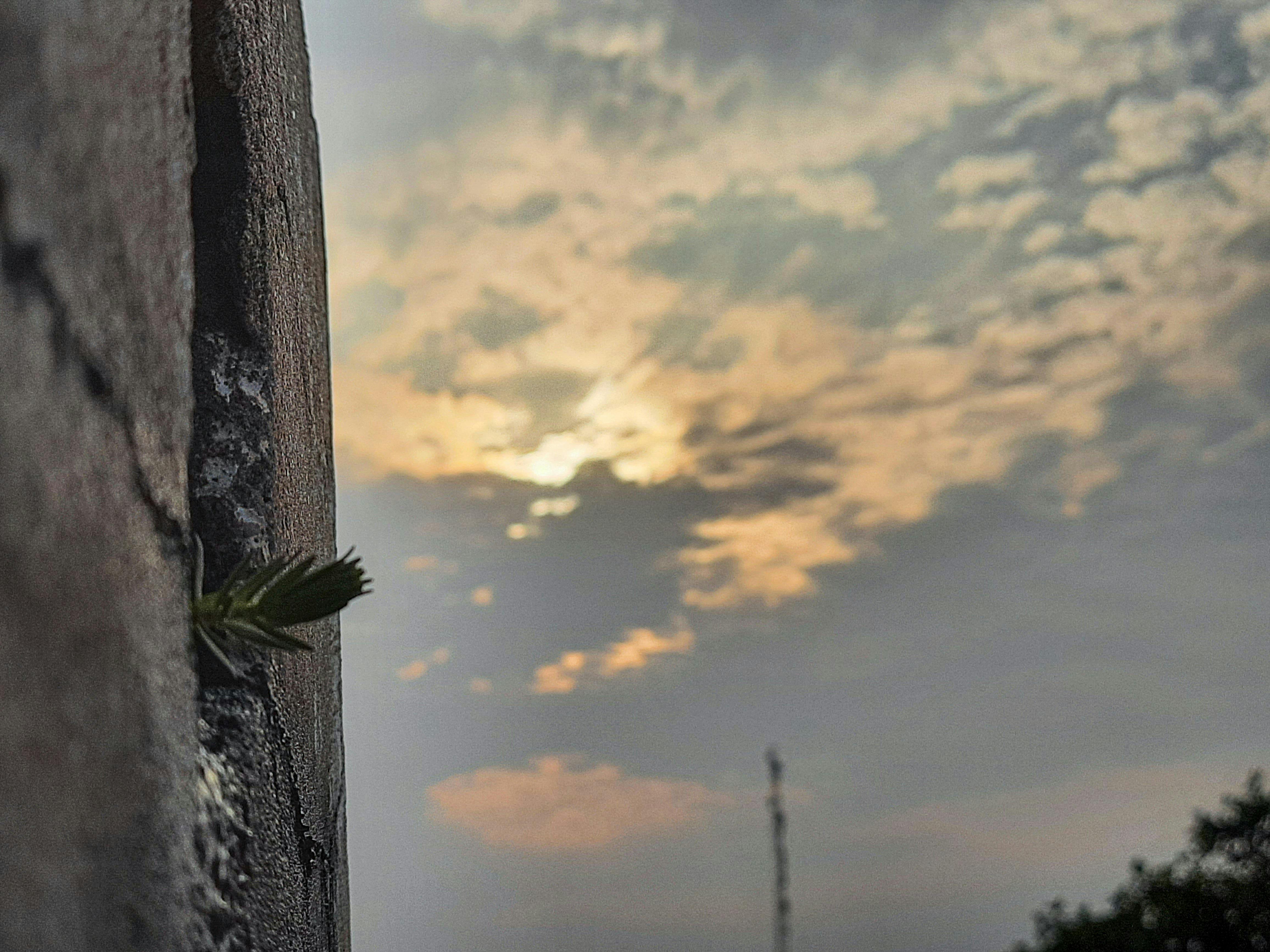 Cricket bowler in action during a Test match