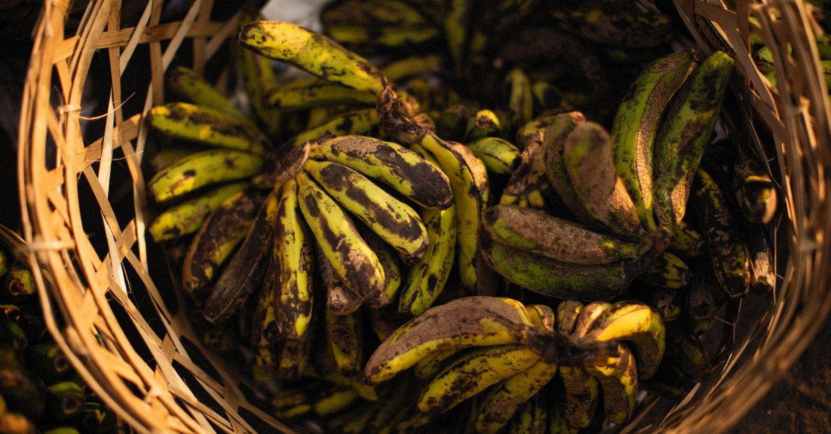 saba bananas