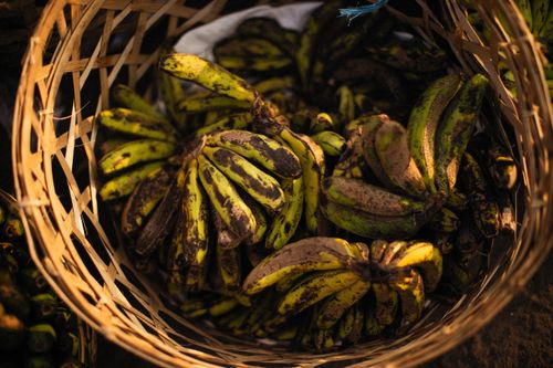 Free Close-up of withered bananas in a rustic basket, highlighting rich textures and warm tones. Stock Photo