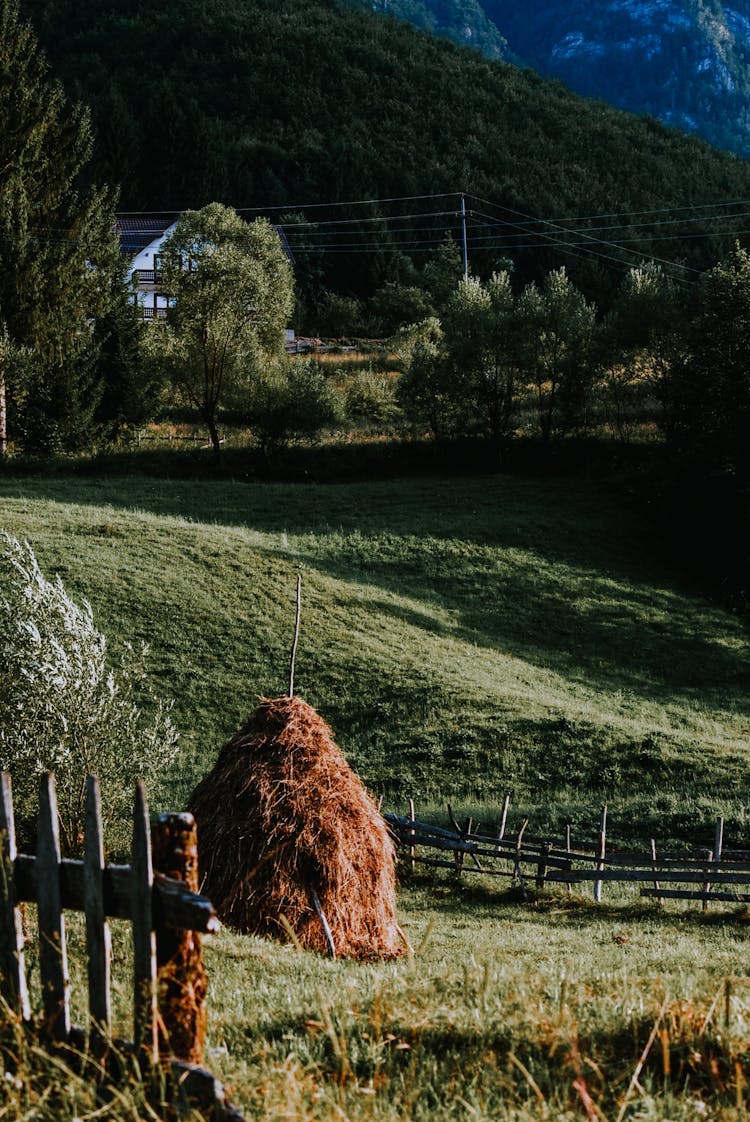 Hay Stack On A Green Grass Field