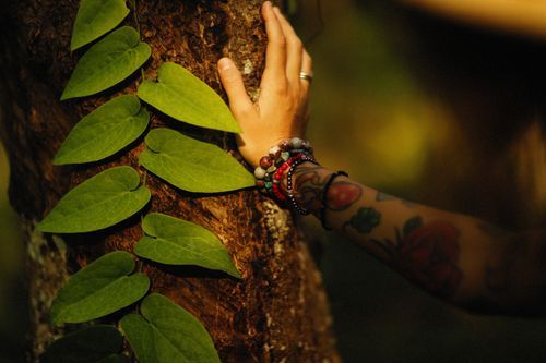 Free A close-up of a tattooed arm with bracelets touching tree bark with green leaves. Nature and human connection. Stock Photo