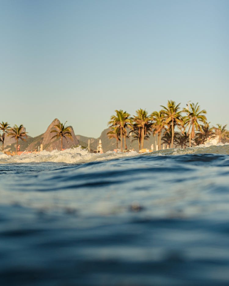 View Of A Tropical Beach With Palm Trees From Water 