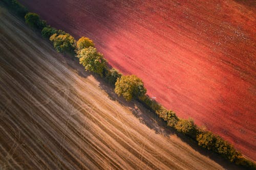 Бесплатное стоковое фото с Аэрофотосъемка, зеленые деревья, земля