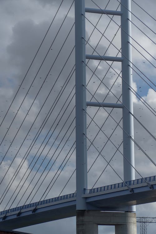 Gratis Fotos de stock gratuitas de infraestructura, nublado, puente colgante Foto de stock