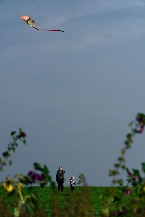 Free A serene scene of an adult and child flying a kite in a lush green field under a clear sky. Stock Photo
