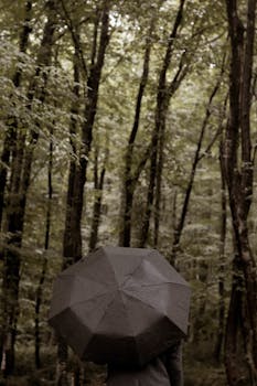A solitary figure holds an umbrella in a serene, lush green forest, creating a peaceful outdoor scene.