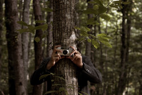 Man hiding behind tree and taking picture