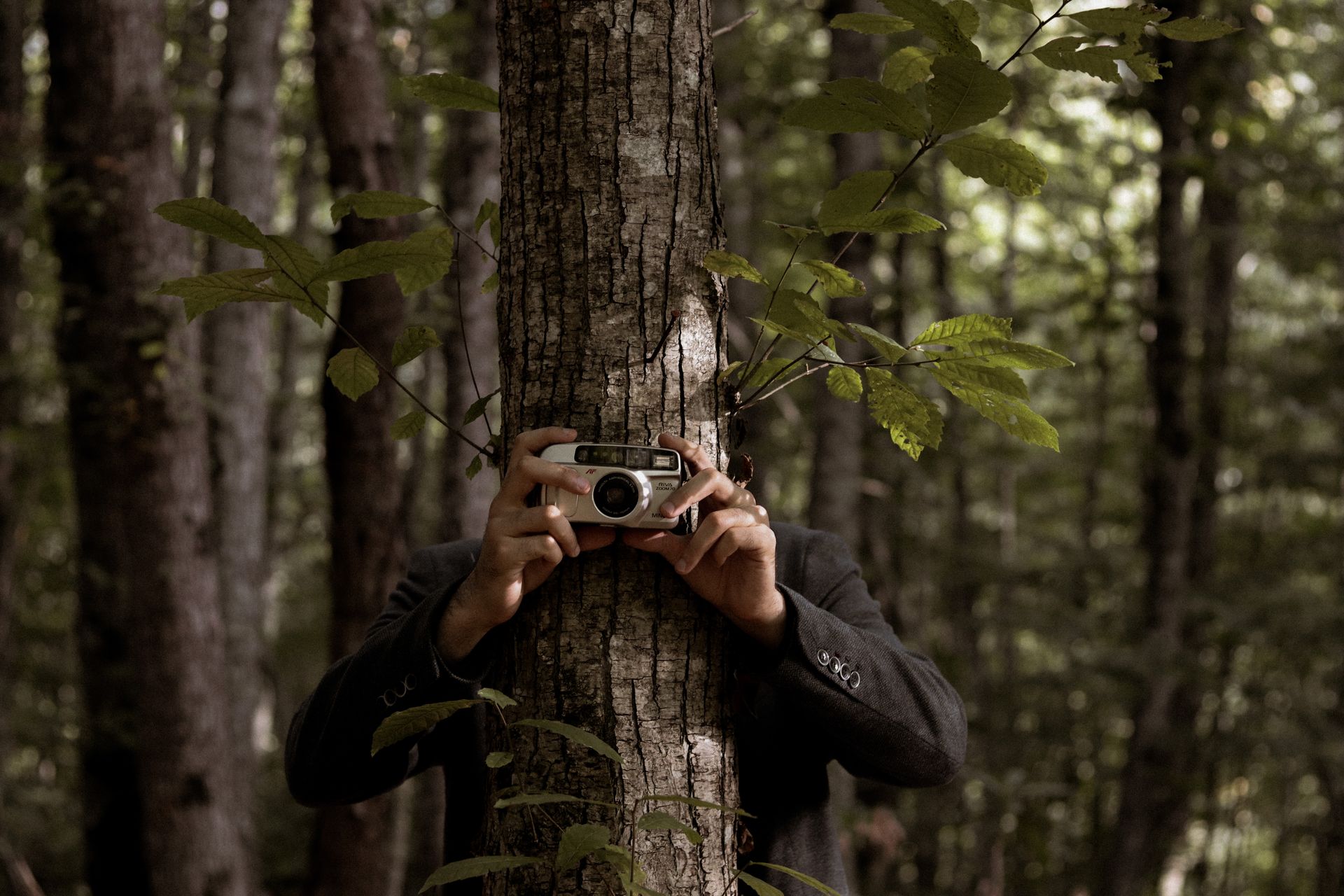 A person hidden behind a tree with a camera in a dense forest setting.