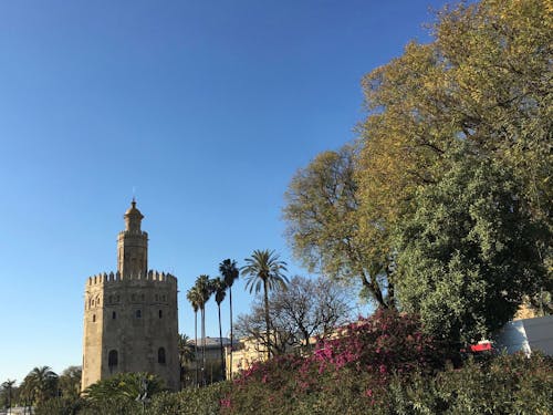 Free stock photo of espaÃ a, sevilla, torre