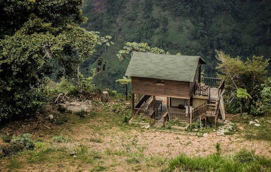 茂密的森林中坐落着一座迷人的木制小屋，背景是郁郁葱葱的山脉，非常适合自然度假