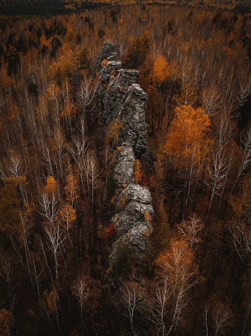 Rock Formations Surrounded By Autumn Trees