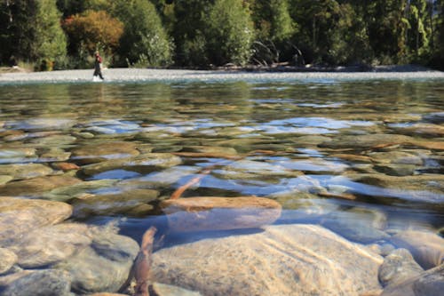 Photos gratuites de beauté dans la nature, beauté de la nature, canada