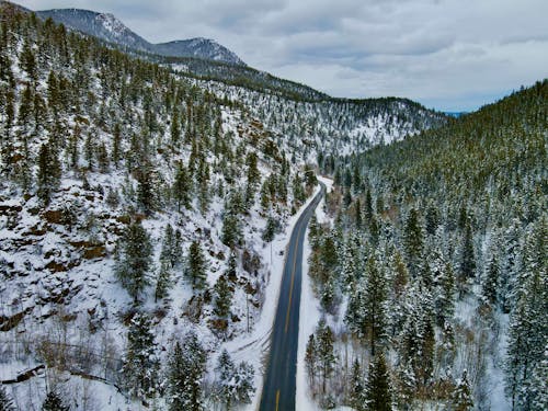 Fotobanka s bezplatnými fotkami na tému borovice, diaľnica, fotografia z dronu