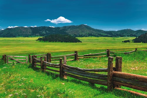 Free Photo of Wooden Fence on Grassfield Stock Photo