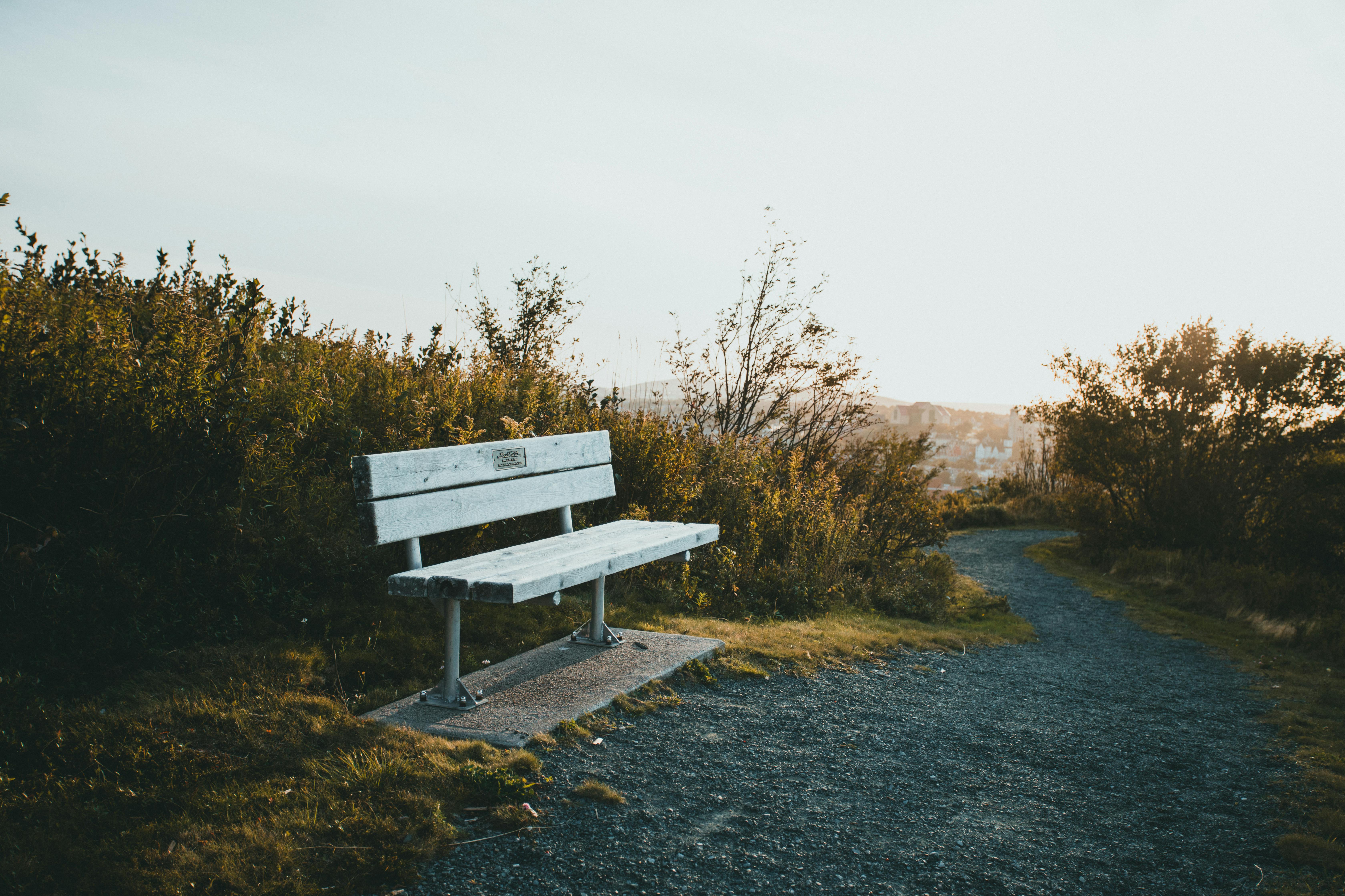 Gravel walkway path beside a bench
