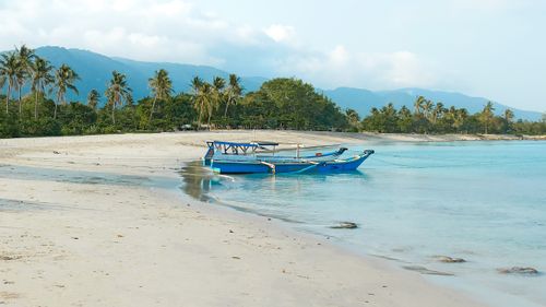 Free A serene tropical beach featuring a blue boat on the shore with palm trees and clear waters. Stock Photo
