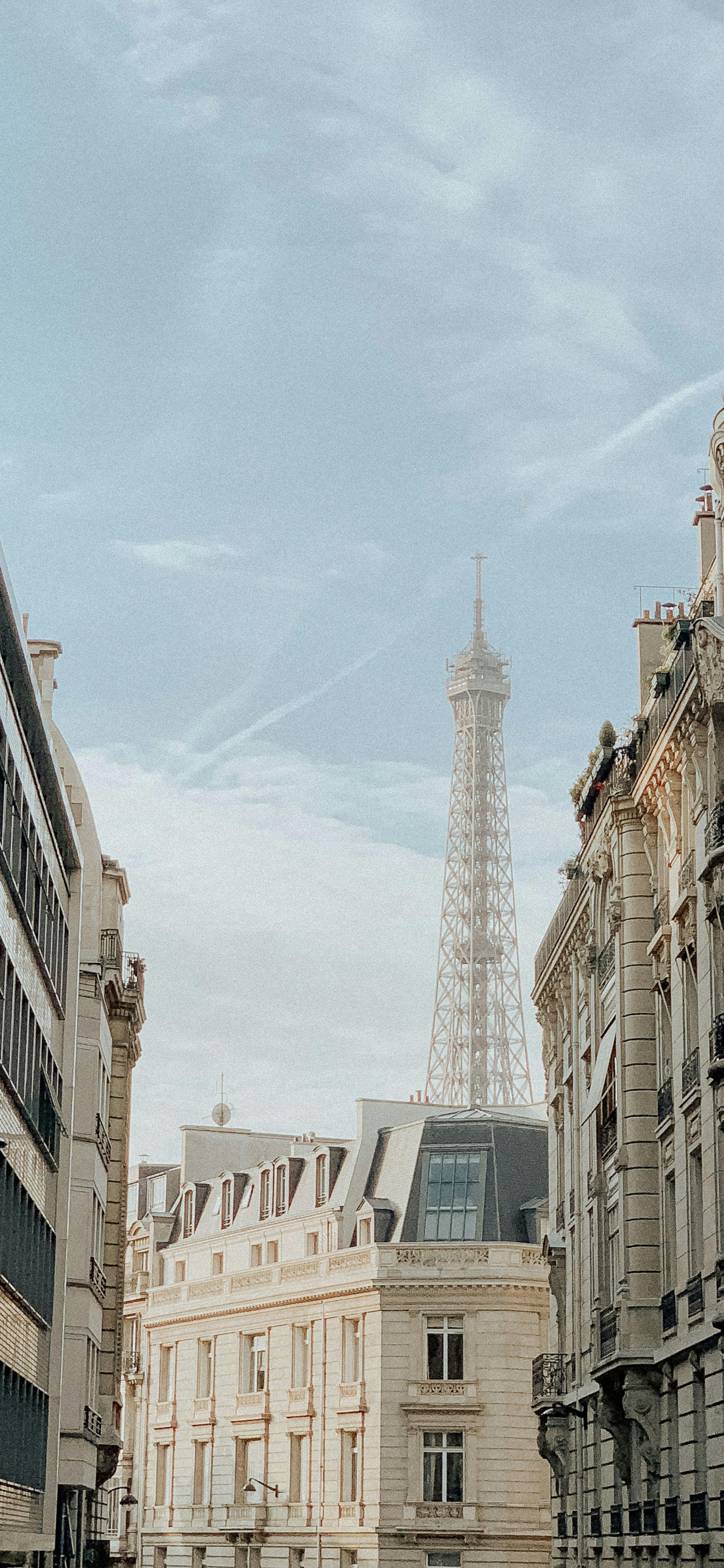A stunning cityscape view featuring the Eiffel Tower and historic Parisian architecture under a clear blue sky.