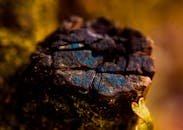 宏观镜头详细展示了烧焦的木材，其充满活力的蓝黄色调因苔藓纹理而更显突出