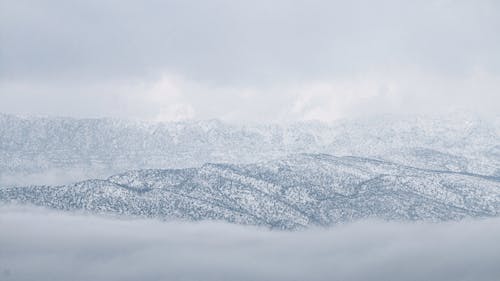 감기, 겨울, 경치의 무료 스톡 사진