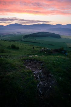 广阔的山地上，绿树成荫，日出充满活力