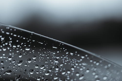 Droplets of Water on Clear Window