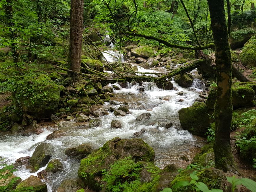 Hikers enjoying a trail in Dilijan National Park, Armenia.