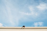 一个人倚着墙，背景是充满活力的蓝天，构图极简