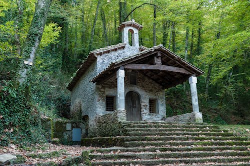 A Concrete Chapel Surrounded by Green Trees in the Forest