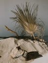 Dry grass on sand near rock and stick against gray background