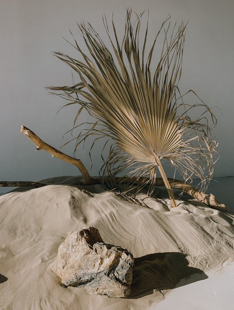 Dry Grass On Sand Near Rock And Stick Against Gray Background