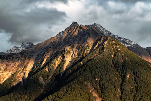 бесплатная Зеленая гора Стоковое фото